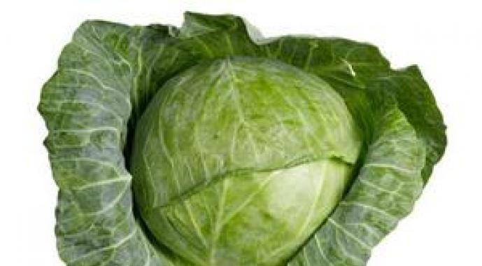 Calorie content of different varieties of cabbage rolls