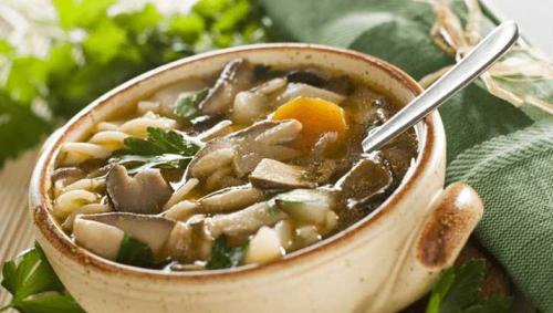 How to cook mushroom soup in a slow cooker Mushroom soup from oyster mushrooms in a slow cooker